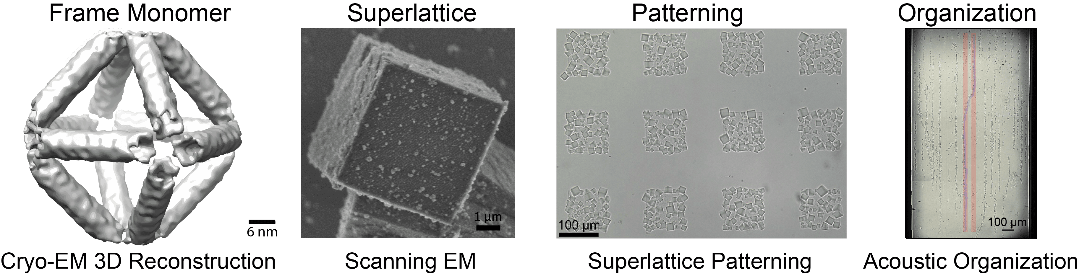 Hierarchical multiscale scaffolds: from 1 nm DNA to 1 mm acoustic organization